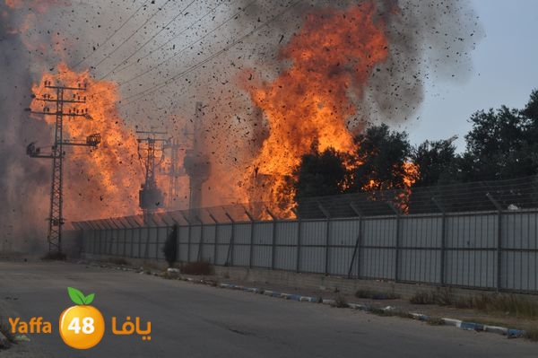 fireludkartoonmasna34 (3).JPG